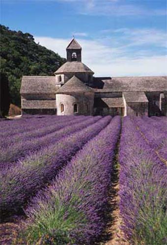 Abbaye-de-Senanque