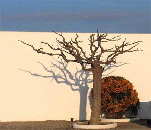 BSte.-Maries-cemeteryxx