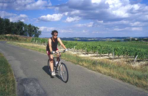 MTCycling-Gers-vineyards