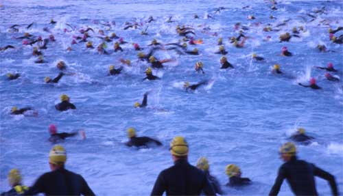 Swimming-race.Nice